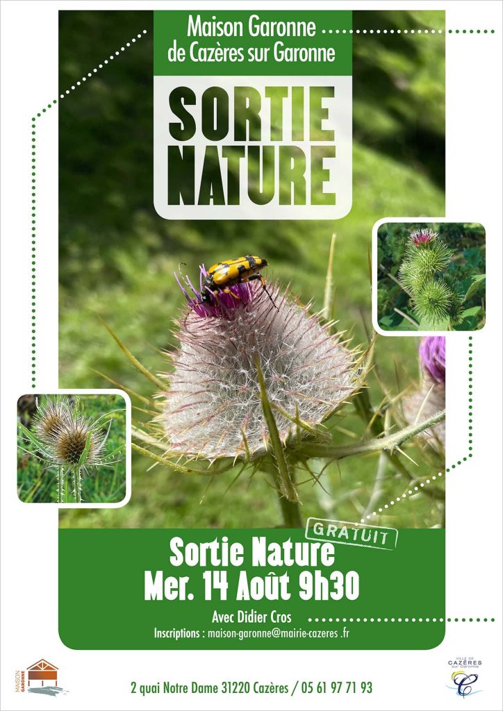 sortie nature