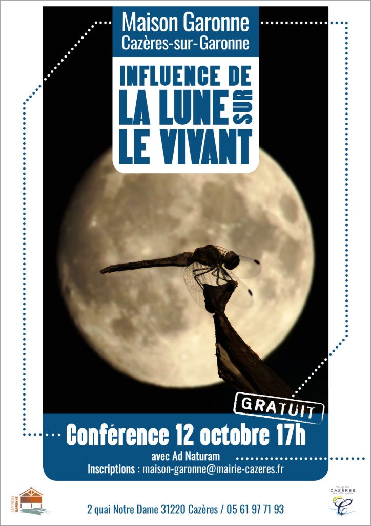 conférence