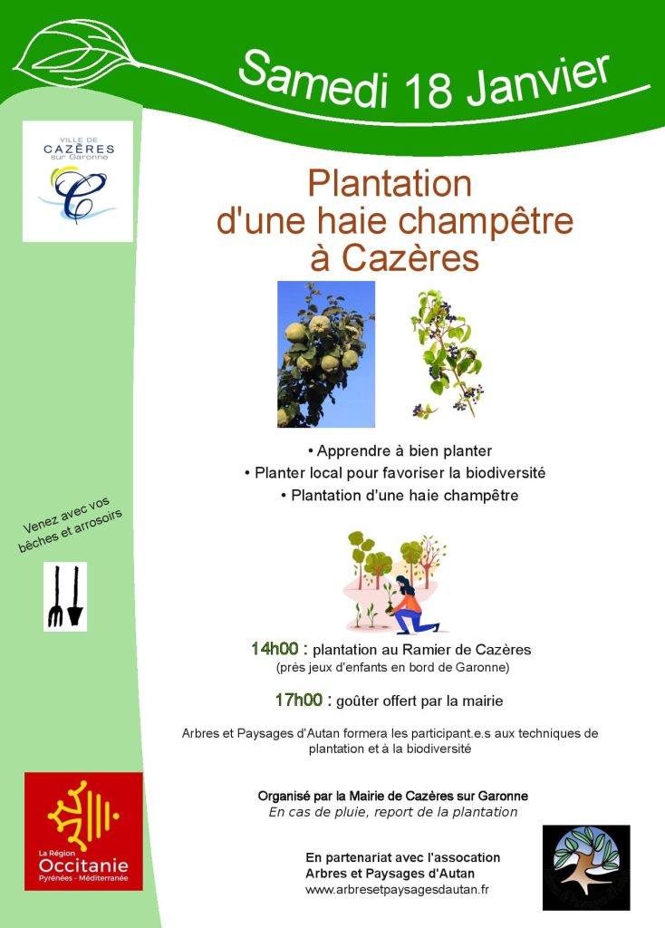 plantation haie